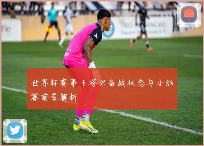 世界杯赛事卡塔尔备战状态与小组赛前景解析